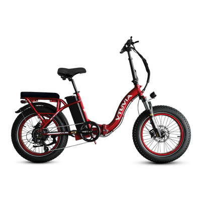 VTUVIA SF20H Utility Electric Bike 