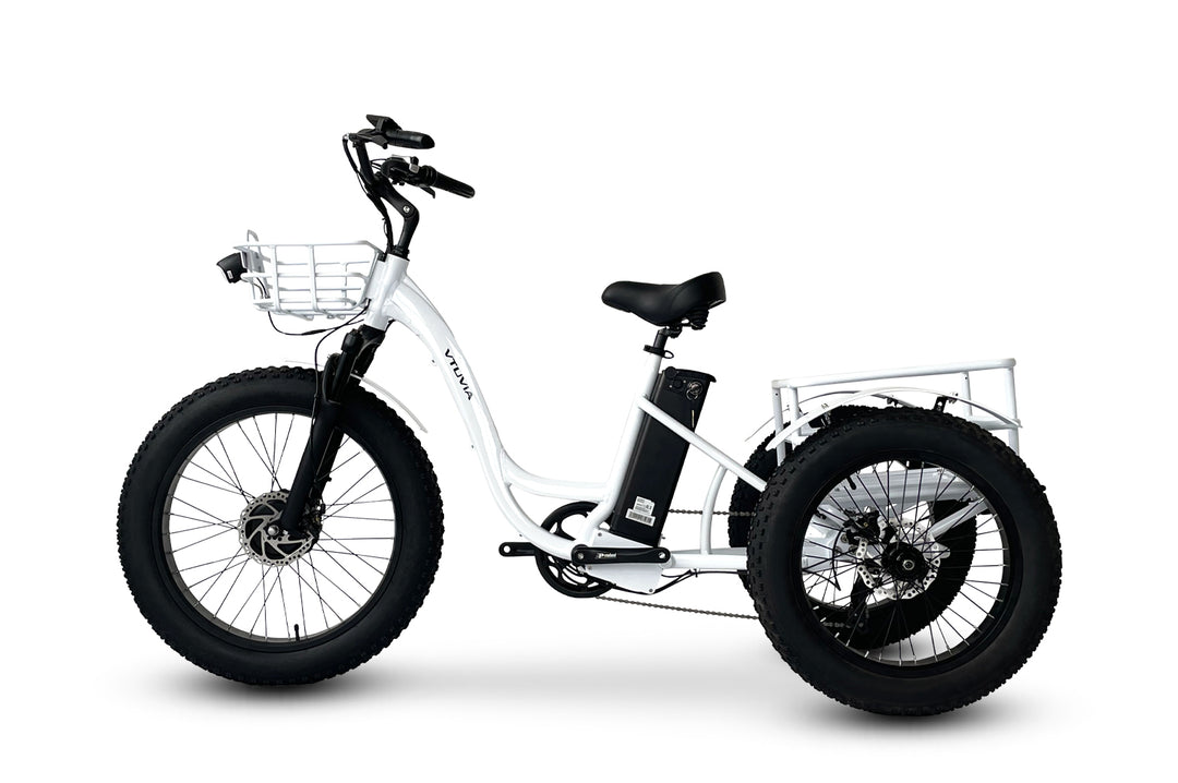 FT2 Fat Tire Cargo Electric Tricycle