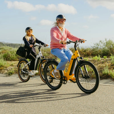 Best affordable electric bike senior electric bike rider zeal lt7 with family 