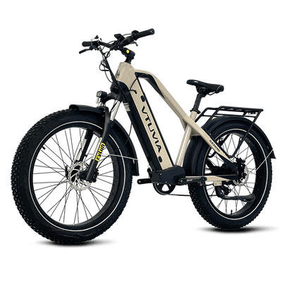 VTUVIA Gemini 1000W Ebike