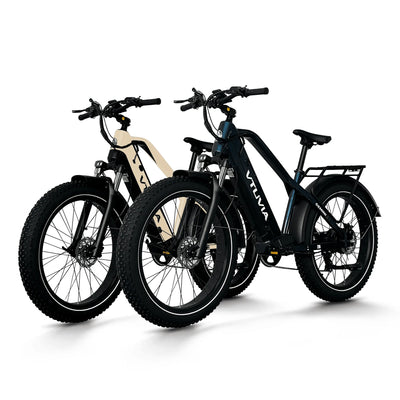 VTUVIA Gemini 1000W - Combo