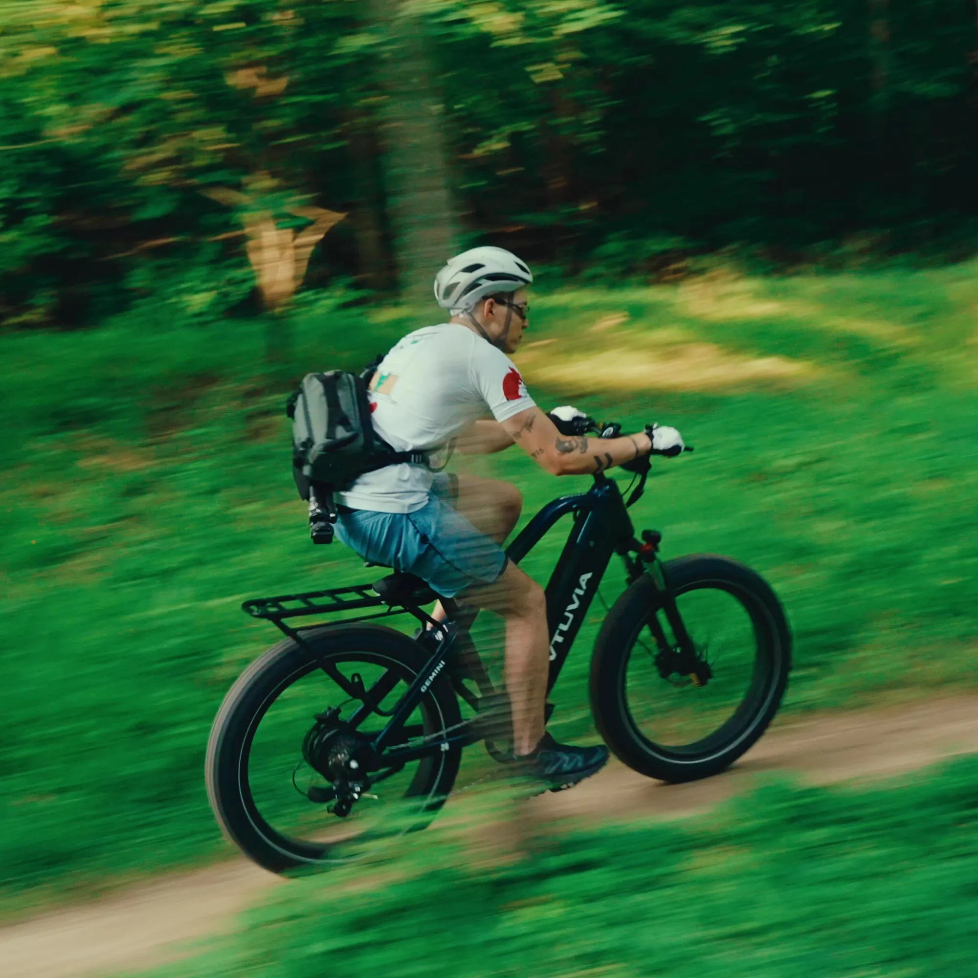 1000W E-bike Long Range Electric Bike for Adults 