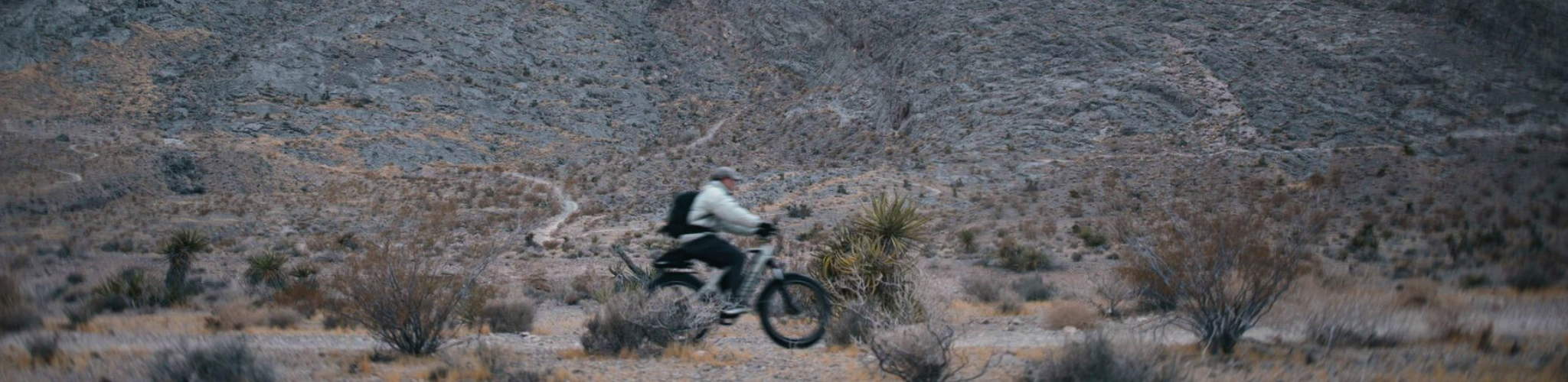 Electric Mountain Bike | Fat Tire Ebikes