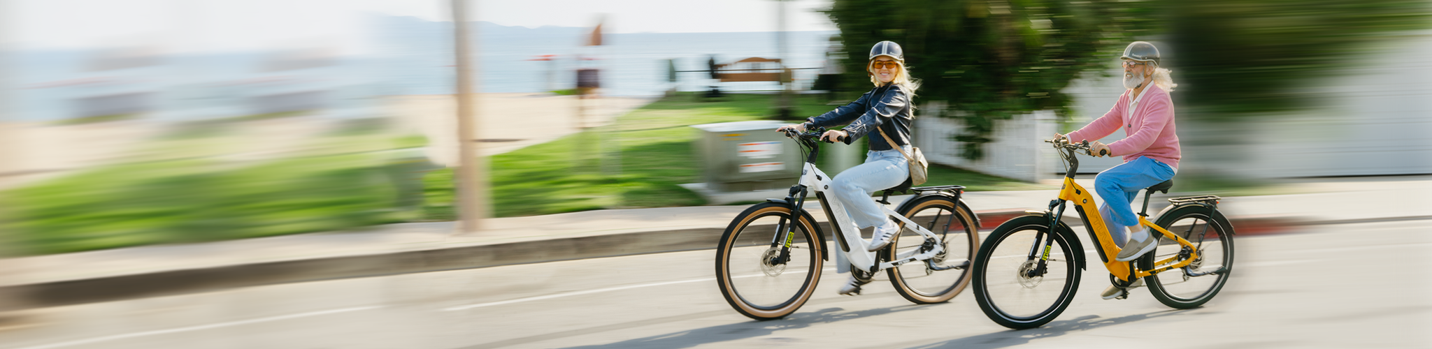 Electric City Bikes