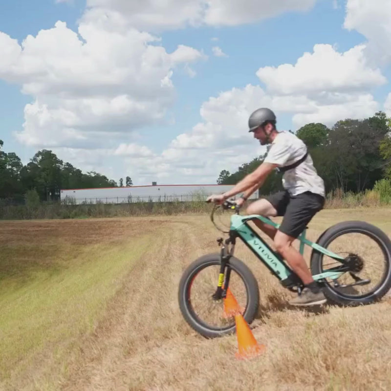 Electric Mountain Bike |1000W Electric Bike #color_champagne-torque-sensor
