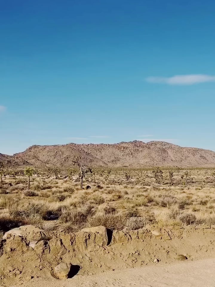 Load video: SF20H E-bike for RV Life