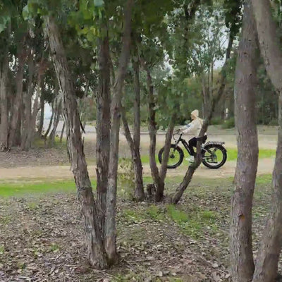 Step Through Fat Tire Electric Bikes | VTUVIA Reindeer 