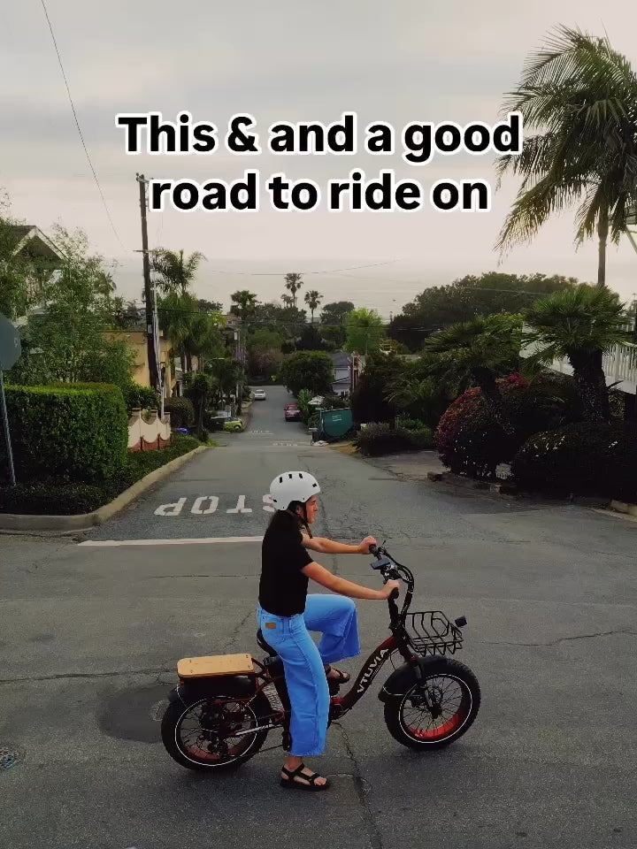 Load video: SF20H E-bike for leisure riding