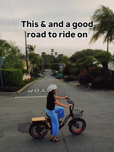 SF20H E-bike for leisure riding