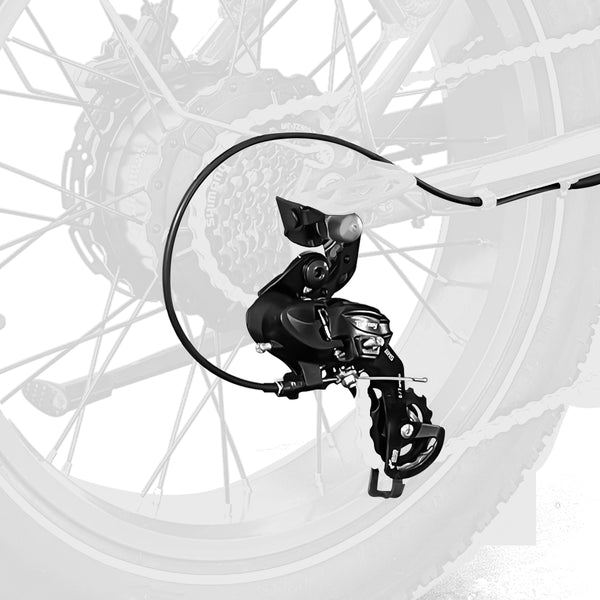 Step Through Fat Tire Electric Bike Shimano Gear 7 Speed