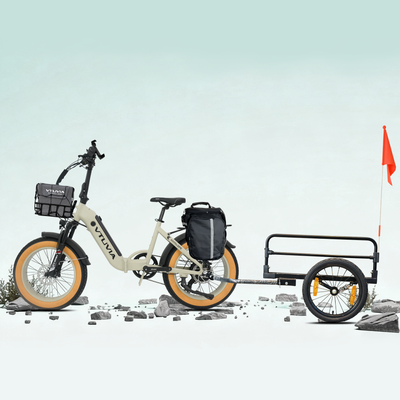 Foldable Electric Bike