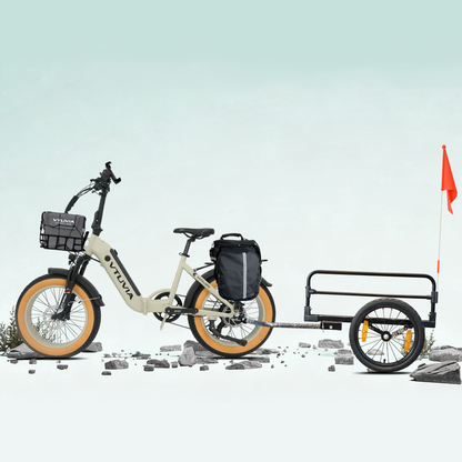 Foldable Electric Bike