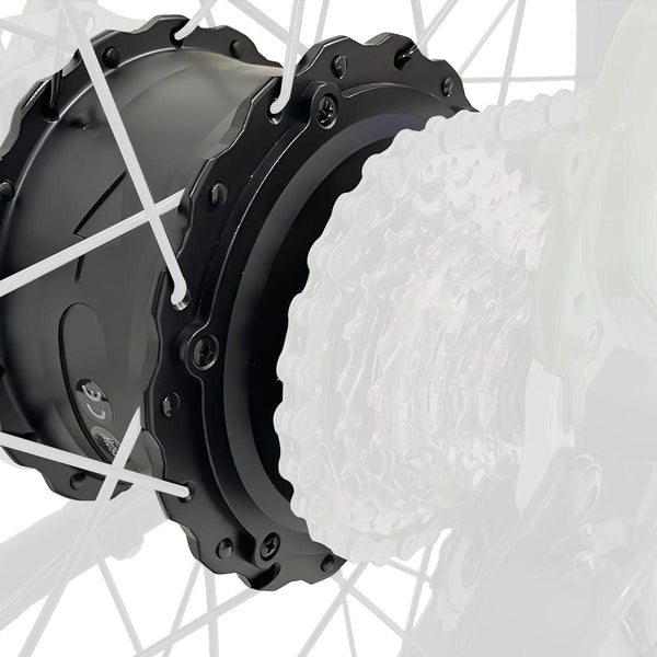 Reindeer All-Terrain Fat Tire Electric Bike Torque Sensor