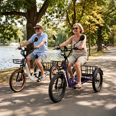 VTUVIA E-Cozy Electric Trike
