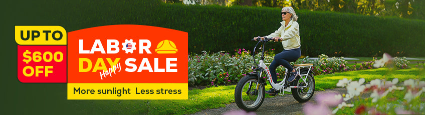 vtuvia-electric-bike-labor-sale