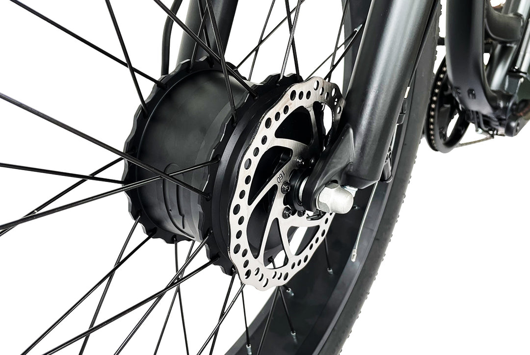 FT2 Fat Tire Cargo Electric Tricycle