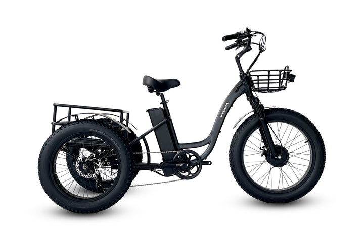 FT2 Fat Tire Cargo Electric Tricycle