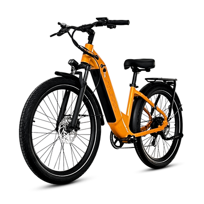 Zeal Smart Torque Sensor Electric Bike 